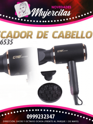 SECADORA DE CABELLO GW-6535 3000W